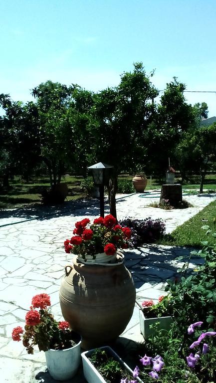 Nireas Nea Skioni Exterior foto